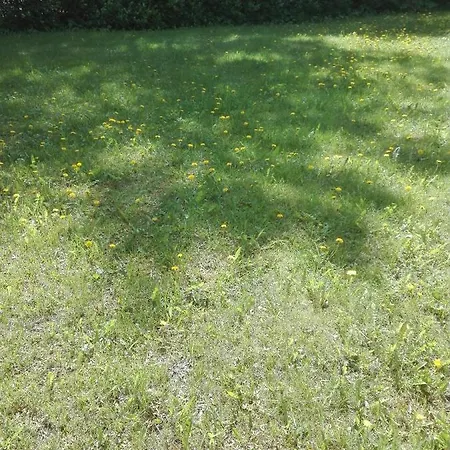 Center Kalamaja * Tallinn