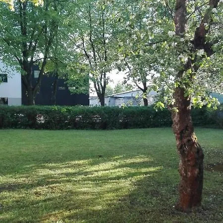 Center Kalamaja *